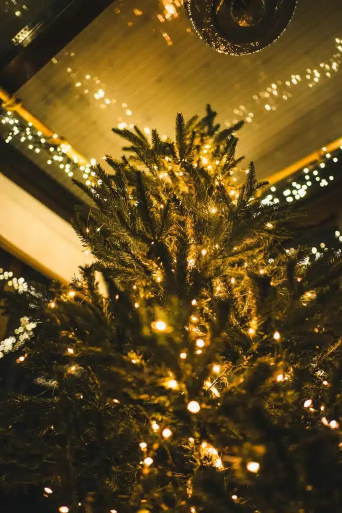 Trådløse juletræslys